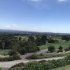 Golf Lover 