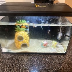 5 Gallon Top Fin Aquarium 