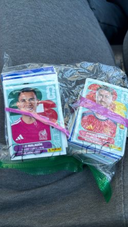 FWC PANINI CARDS