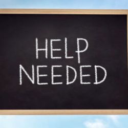 Apartment Lease Transfer 