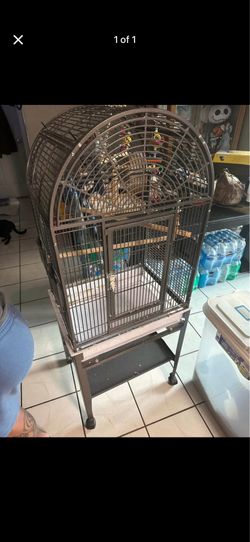 Bird cages
