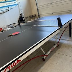 Ping Pong Table