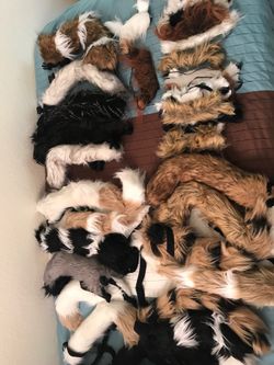 Costume pieces! Various tails and strap mon forehead pieces. Adjustable size buckle straps