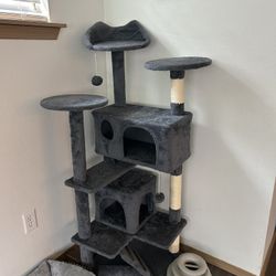 Cat  Tree