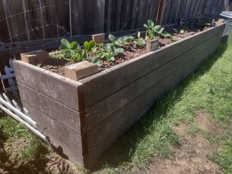 Garden bed