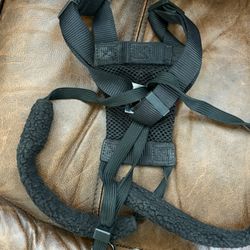 Dog Harness