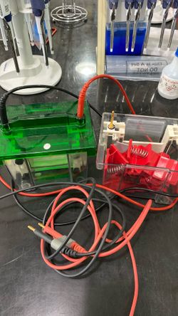 Bio-Rad Mini-Protean II Cell