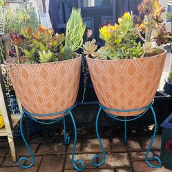 POTTED PLANTS WITH PLANT STANDS 