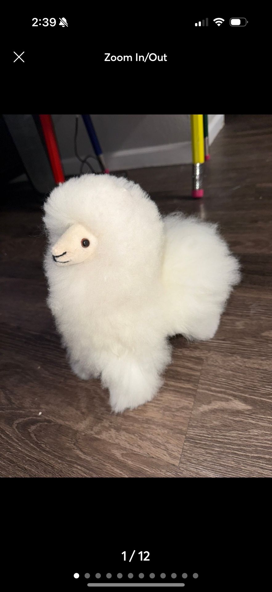 alpaca plushy