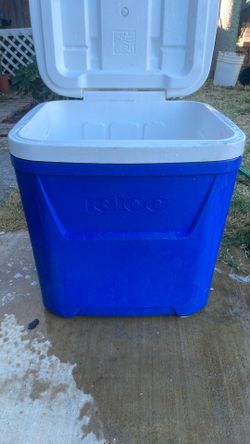 Cooler