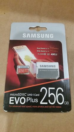 Samsung 256 GB evo plus micro SD card with adapter.