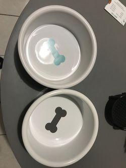 Dog bowl’s