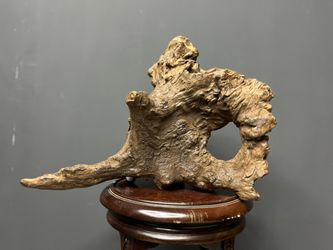 New wood In Stock: Aquarium, Reptiles, Amphibian, Home decor, Terrariums