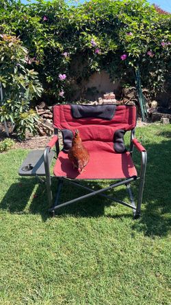 XXL chair