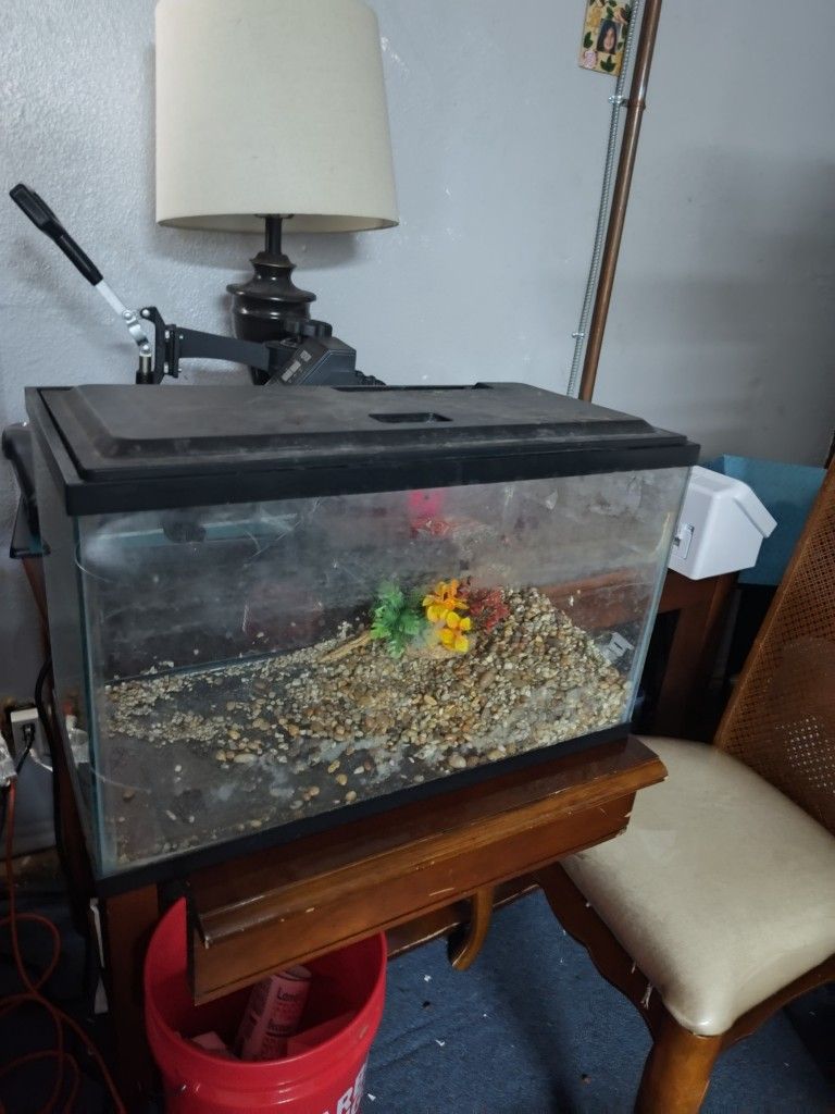 10 Gallon Fish Tank