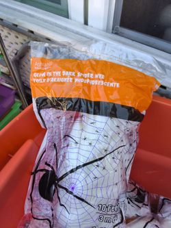 Glow on the dark spider web