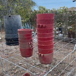 Tengo 20 Para Darles Agua para Comida Quiero 40 Portodos