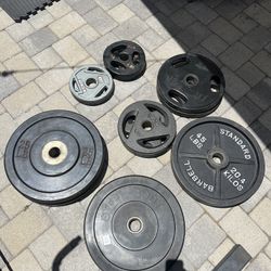weight plates With Rack 