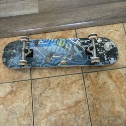 Skate Board 
