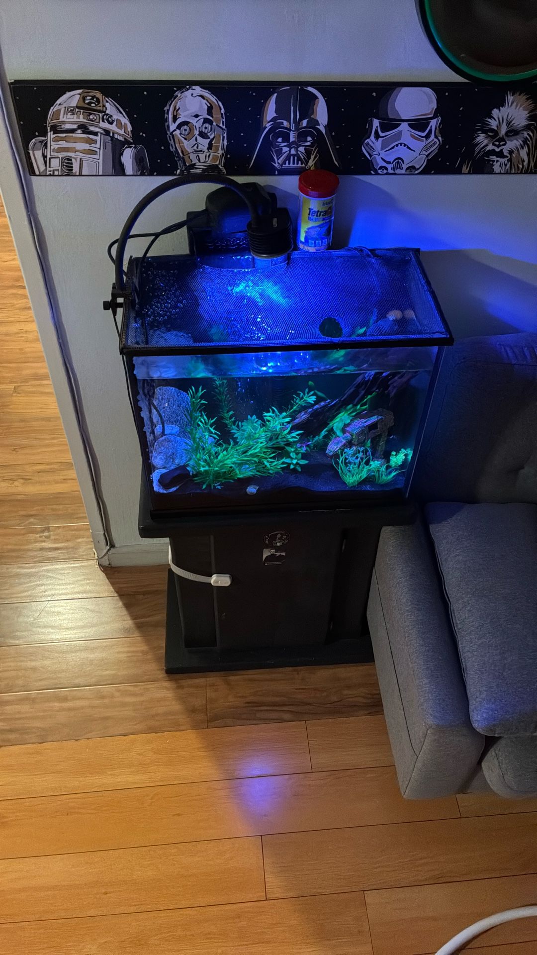 15 Gallon Fish Tank With Stand And Whole Setup
