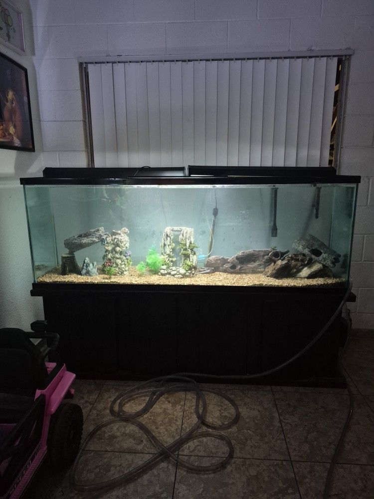 Fish Tank And Stand 150 Gallons