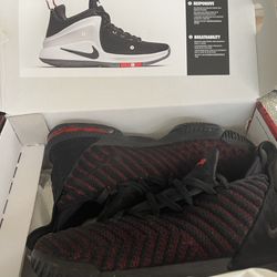 Nike Lebron Sale in OH OfferUp
