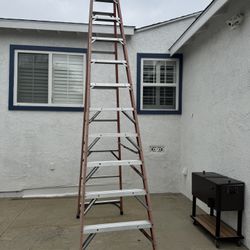 12” Ladder