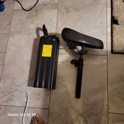 Electric Scooter for sale
