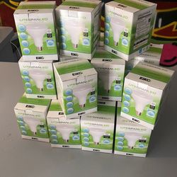 Light Bulbs