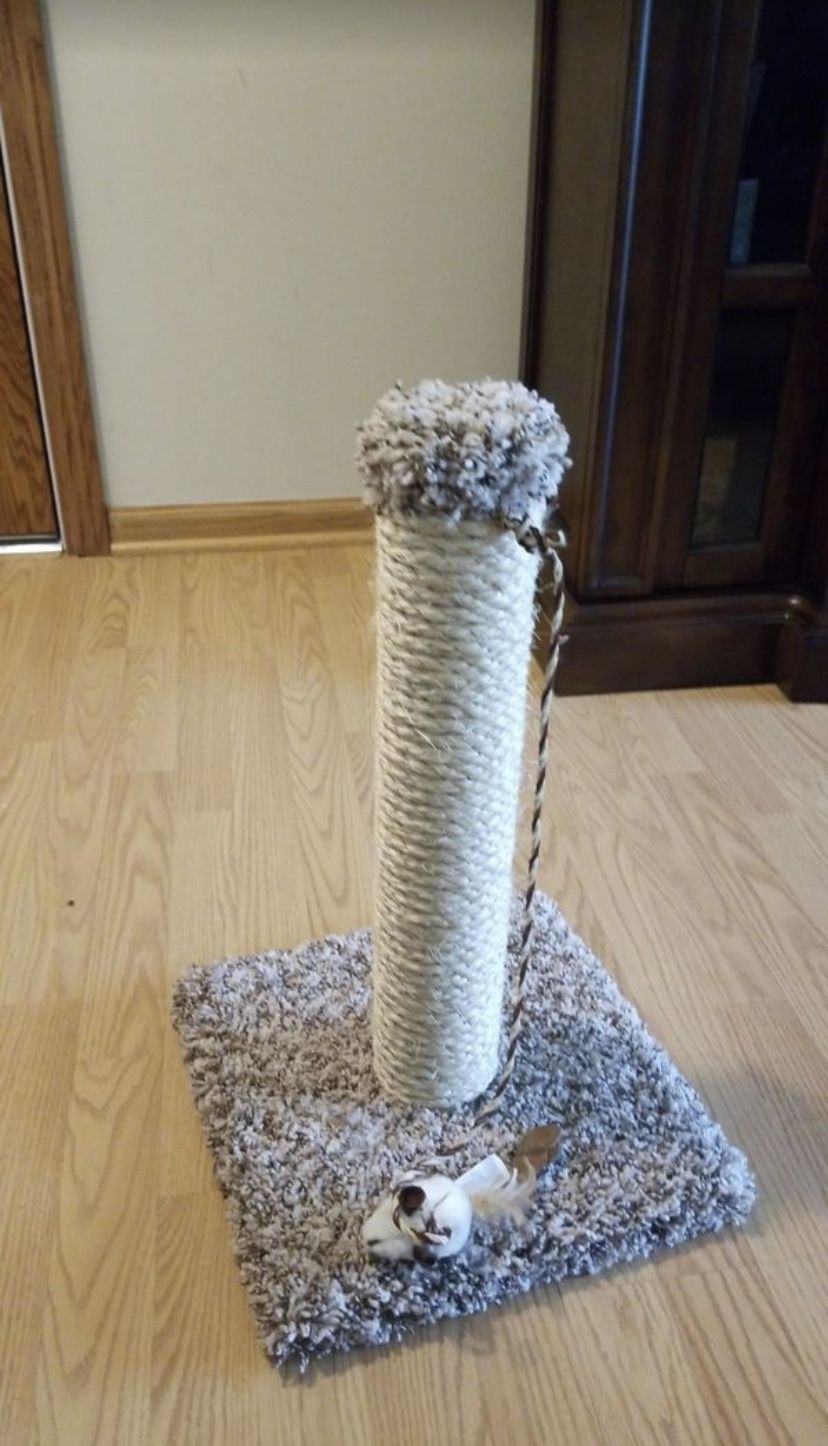 Cat scratcher