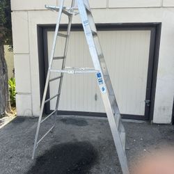Werner 8ft Ladder