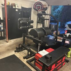 Rogue Fitness GHD