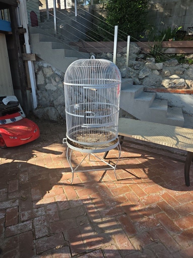 Bird Cage