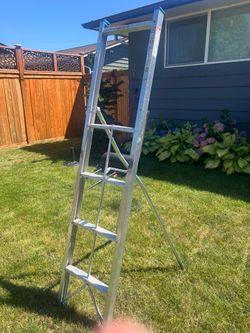 Folding Rv ladder