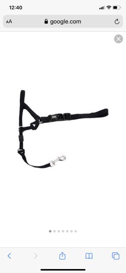 Walk n train dog headcallor