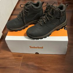 Timberland Brown Boots 