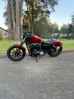 Harley