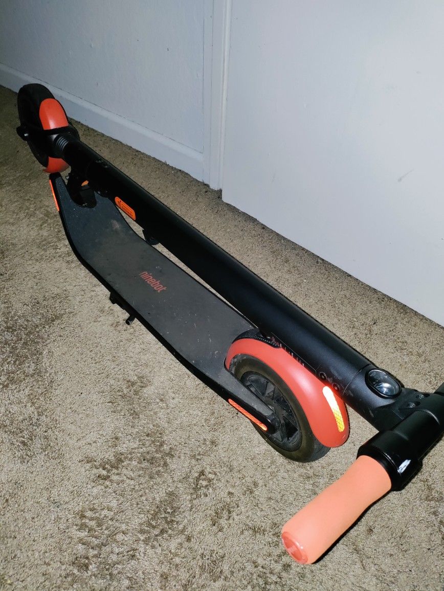 Electric Scooter