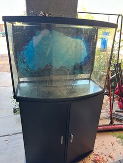 Bow front fish tank with stand and lid