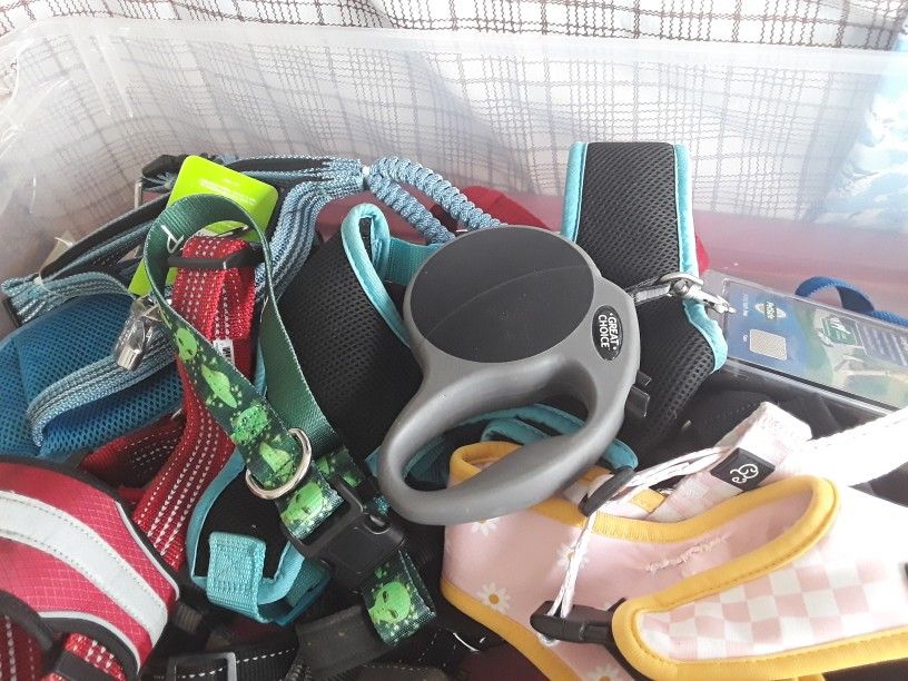 Brand New High Quality Dogs Leashes And Harnesses/ Collars And Alot More In Weeki Wachee Spring Hill