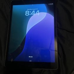 iPad 