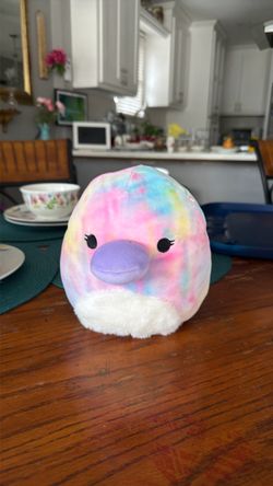 Colorful Bird/Duck/Platyplus