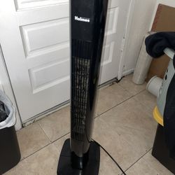 Fan Both For $30