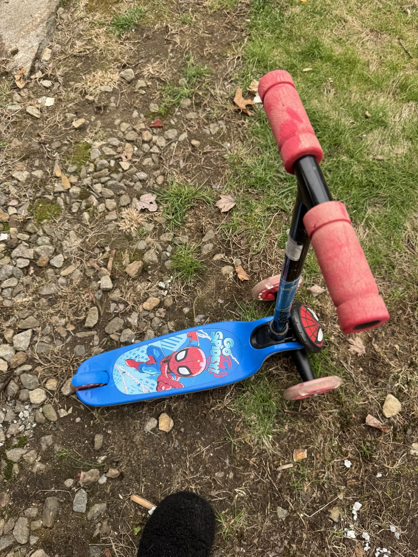Scooter