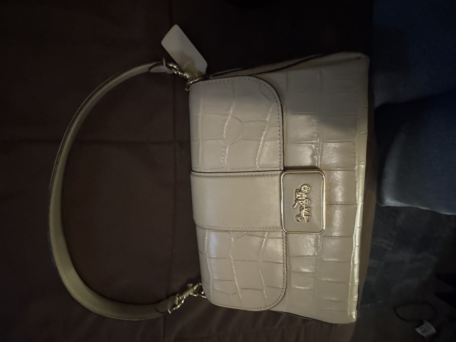 Coach crocodile Grace