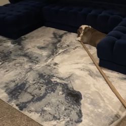 BLUE COUCH / Sectional 