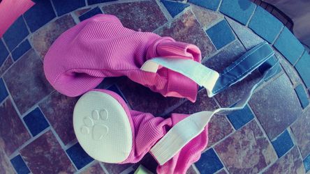 Shoes for Medium Dog-Pink