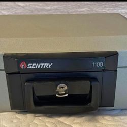 Sentry 1100
