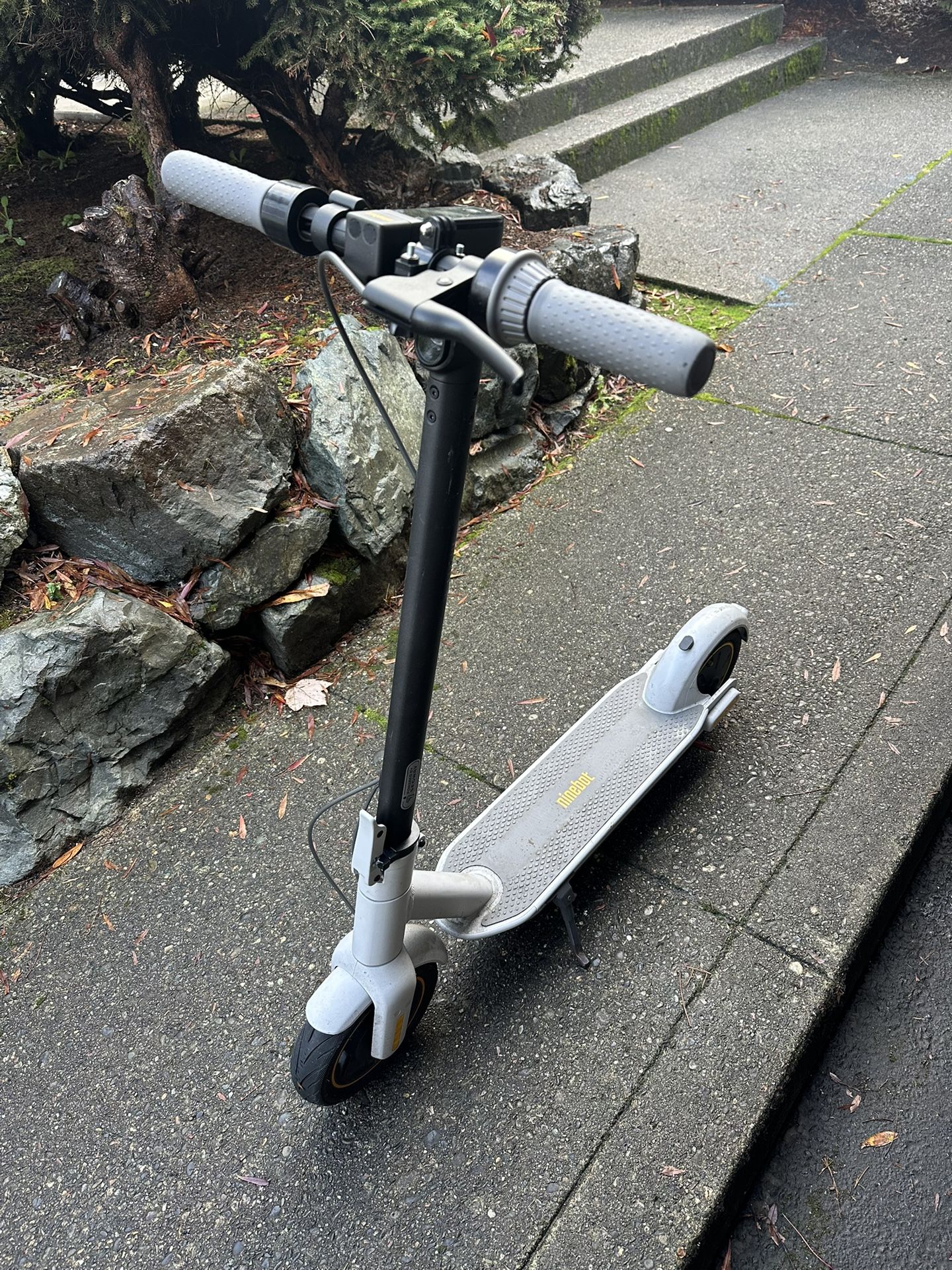 electric scooter
