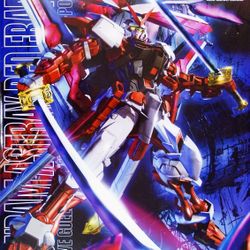 Gundam Astray Red Frame Custom MG 1/100 Model Kit